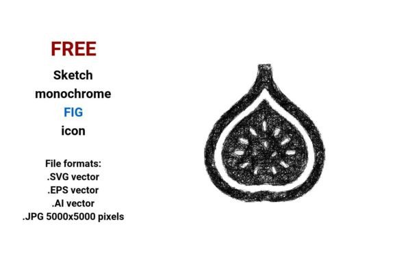 FREE Sketch Fig Icon