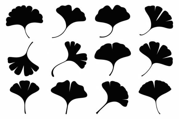 Ginkgo Leaf Silhouettes Vector Pack